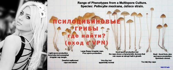 марки nbome Богородицк